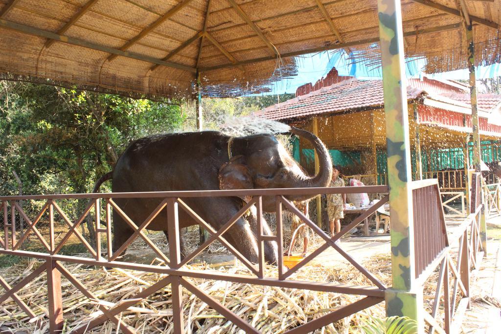 Shangri La Jungle Village Molem Exteriér fotografie